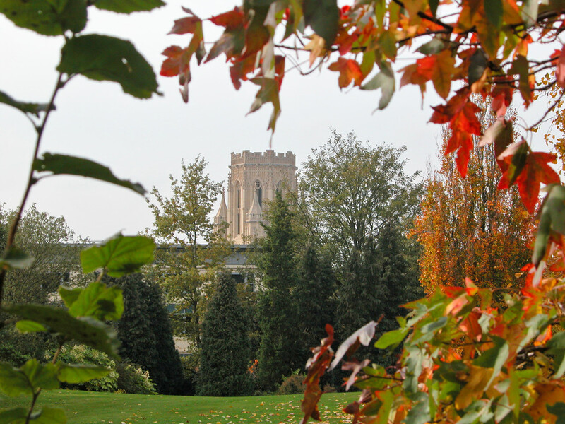 Bristol Universitesi video
