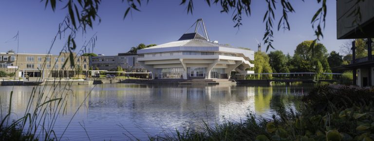 York Üniversitesi