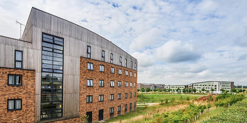 York Üniversitesi video