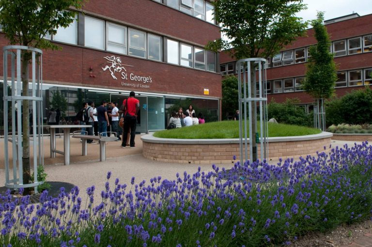 St George’s Londra Universitesi