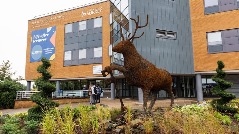 Surrey Üniversitesi